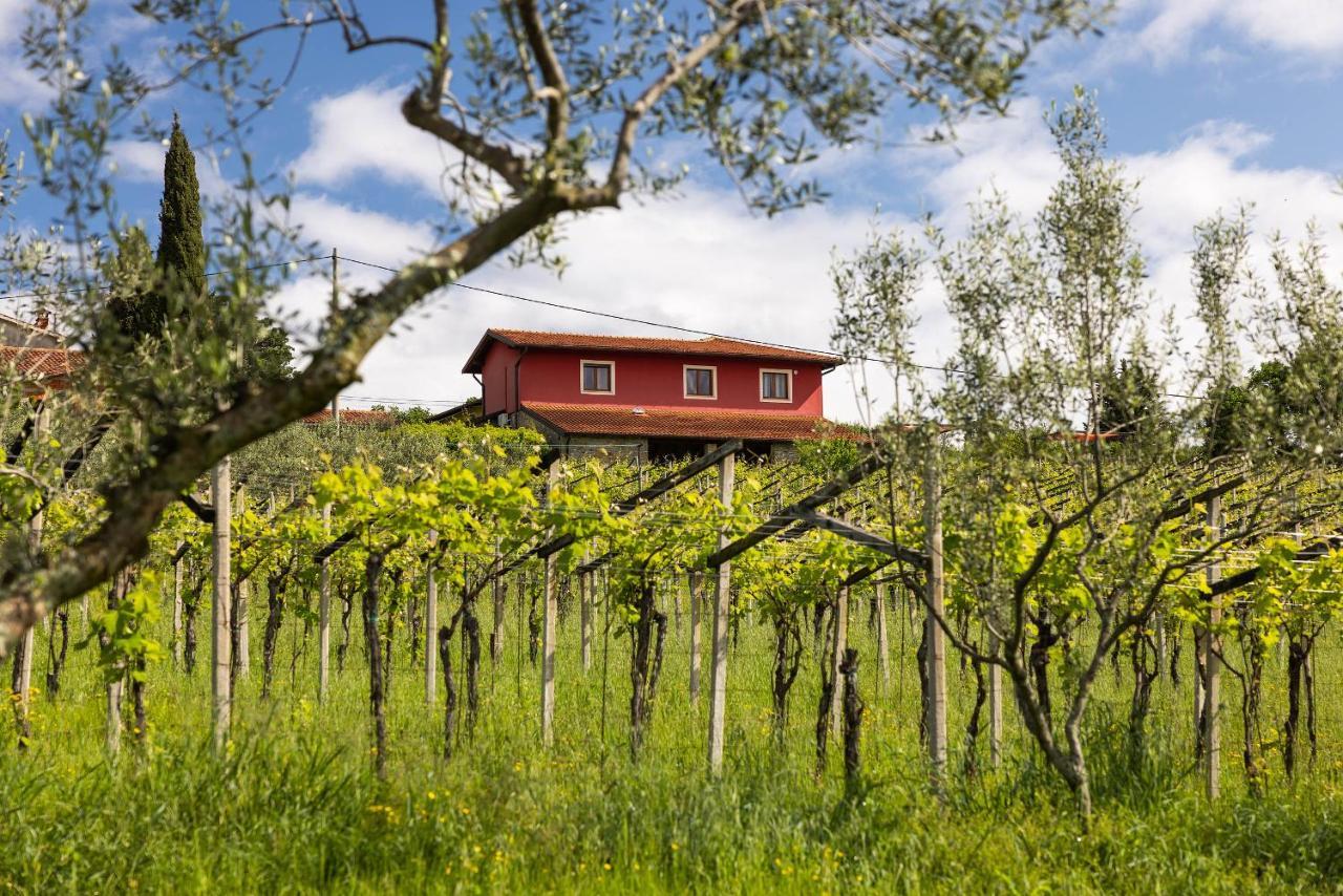 Touristfarm - Apartments "Red Fairytale" Marezige Esterno foto
