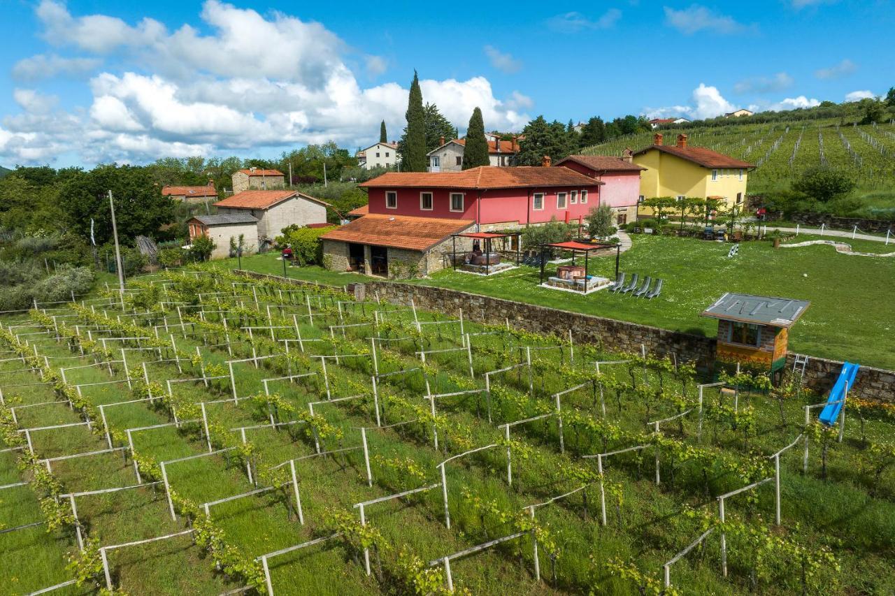Touristfarm - Apartments "Red Fairytale" Marezige Esterno foto