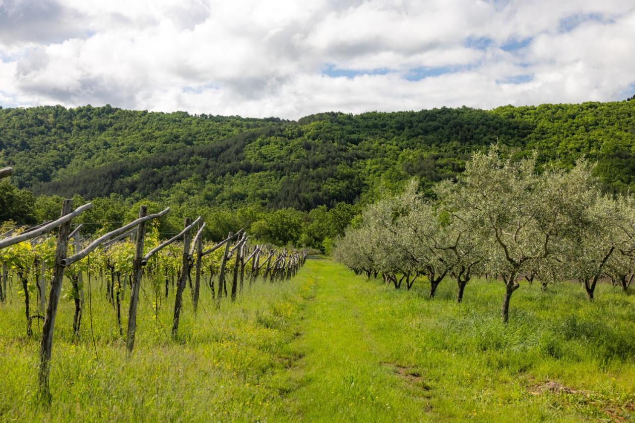 Touristfarm - Apartments "Red Fairytale" Marezige Esterno foto