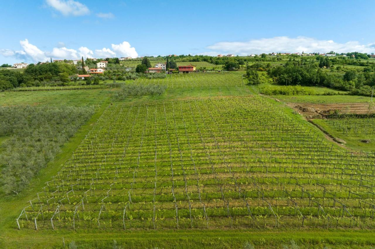 Touristfarm - Apartments "Red Fairytale" Marezige Esterno foto