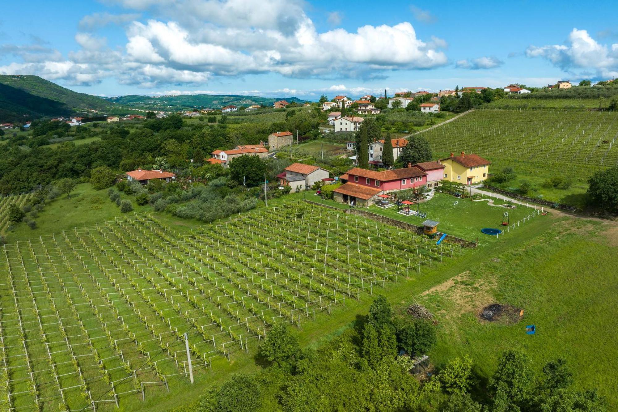 Touristfarm - Apartments "Red Fairytale" Marezige Esterno foto